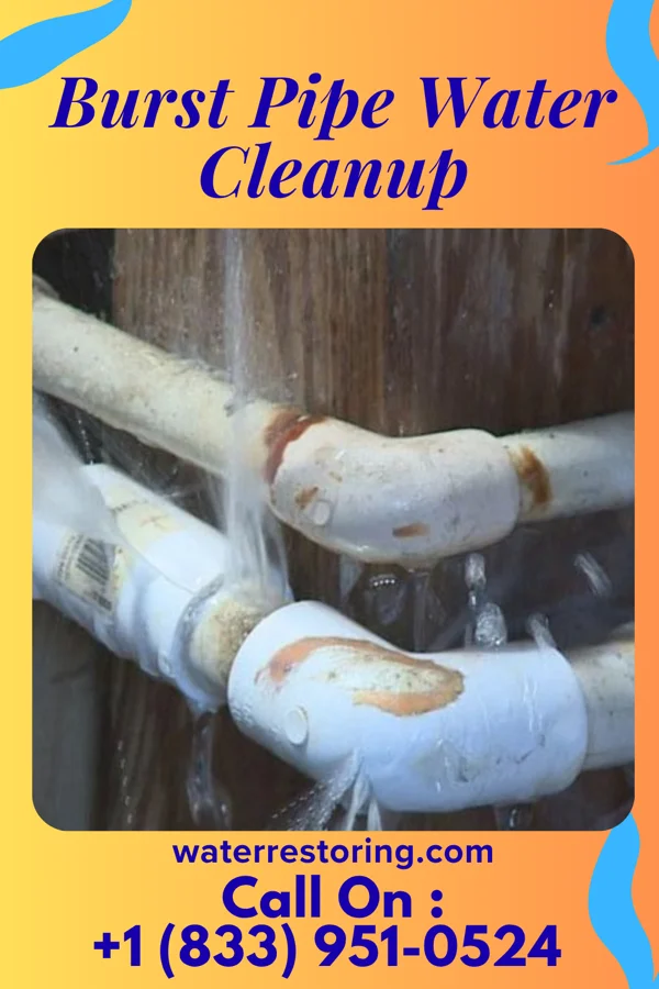 Burst Pipe Water Cleanup in Bromley, KY