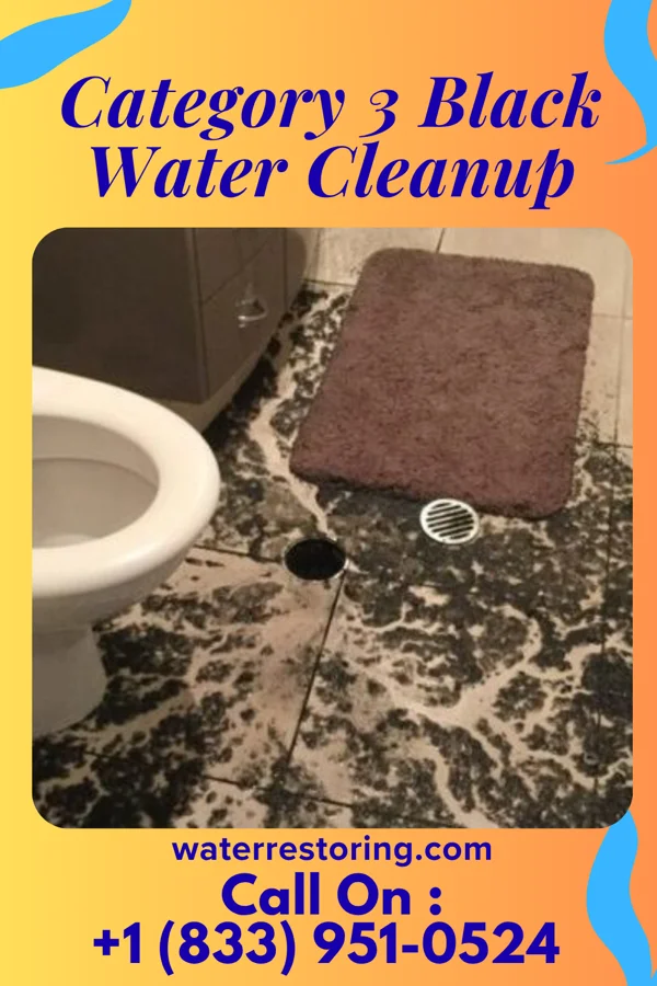 Category 3 Black Water Cleanup in Bromley, KY