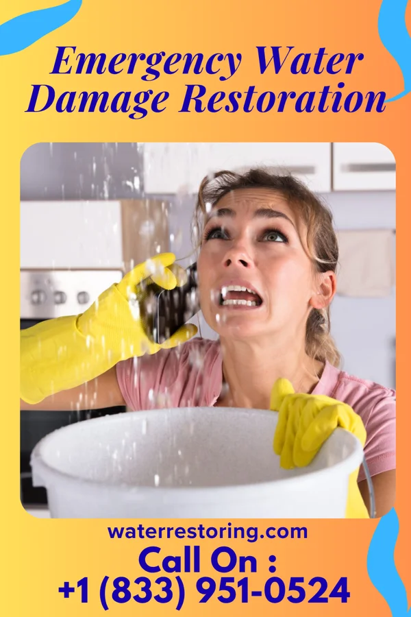 Emergency Water Damage Restoration in Bromley, KY