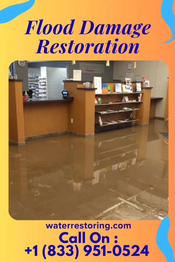 Flood Damage Restoration in Bromley, KY