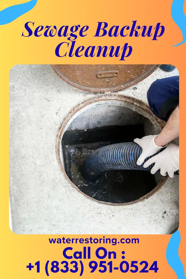 Sewage Backup Cleanup in Bromley, KY