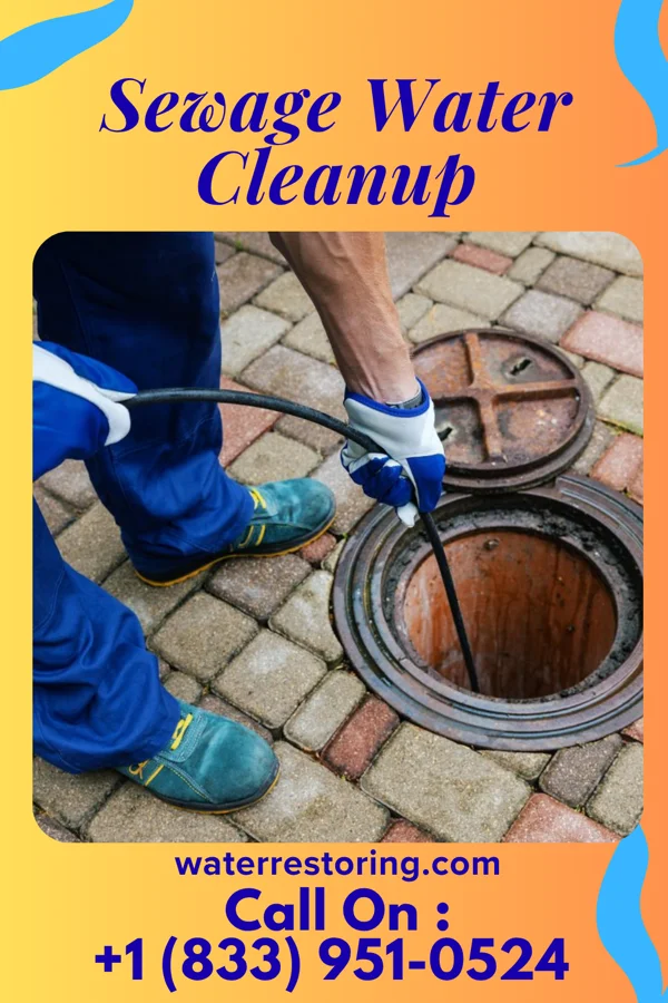 Sewage Water Cleanup in Bromley, KY