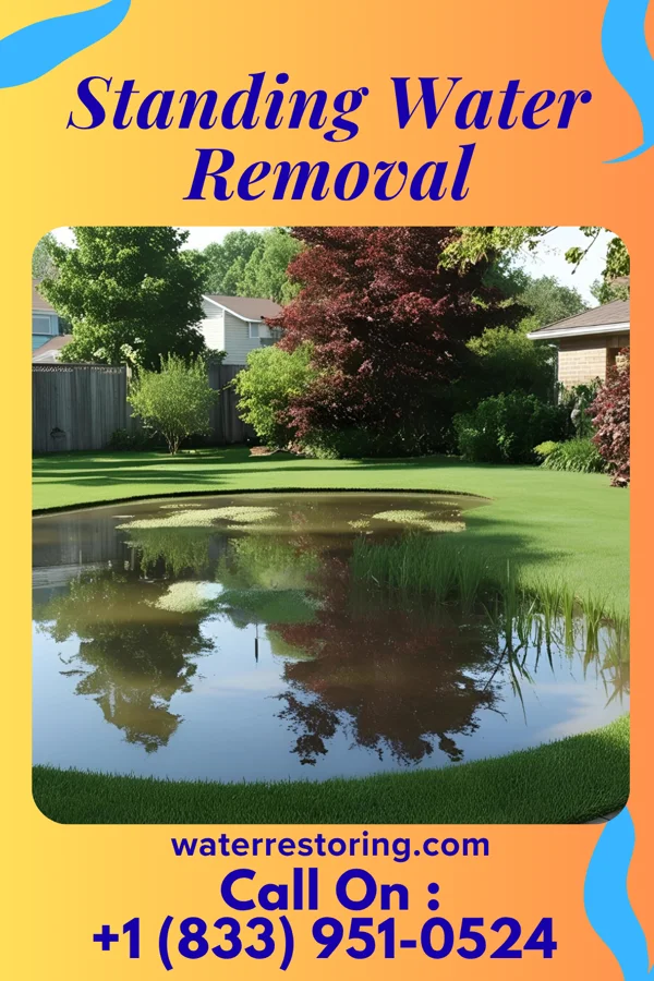 Standing Water Removal in Bromley, KY
